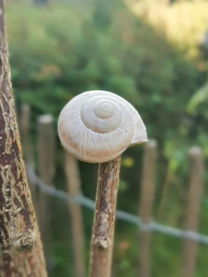 Ferienglueck An Der Nordsee Buche Deine Erdgeschoss-Ferienwohnung Mit Kamin Terrasse Und Eingezaeuntem Garten Fuer Unvergessliche Auszeiten Altfunnixsiel Εξωτερικό φωτογραφία