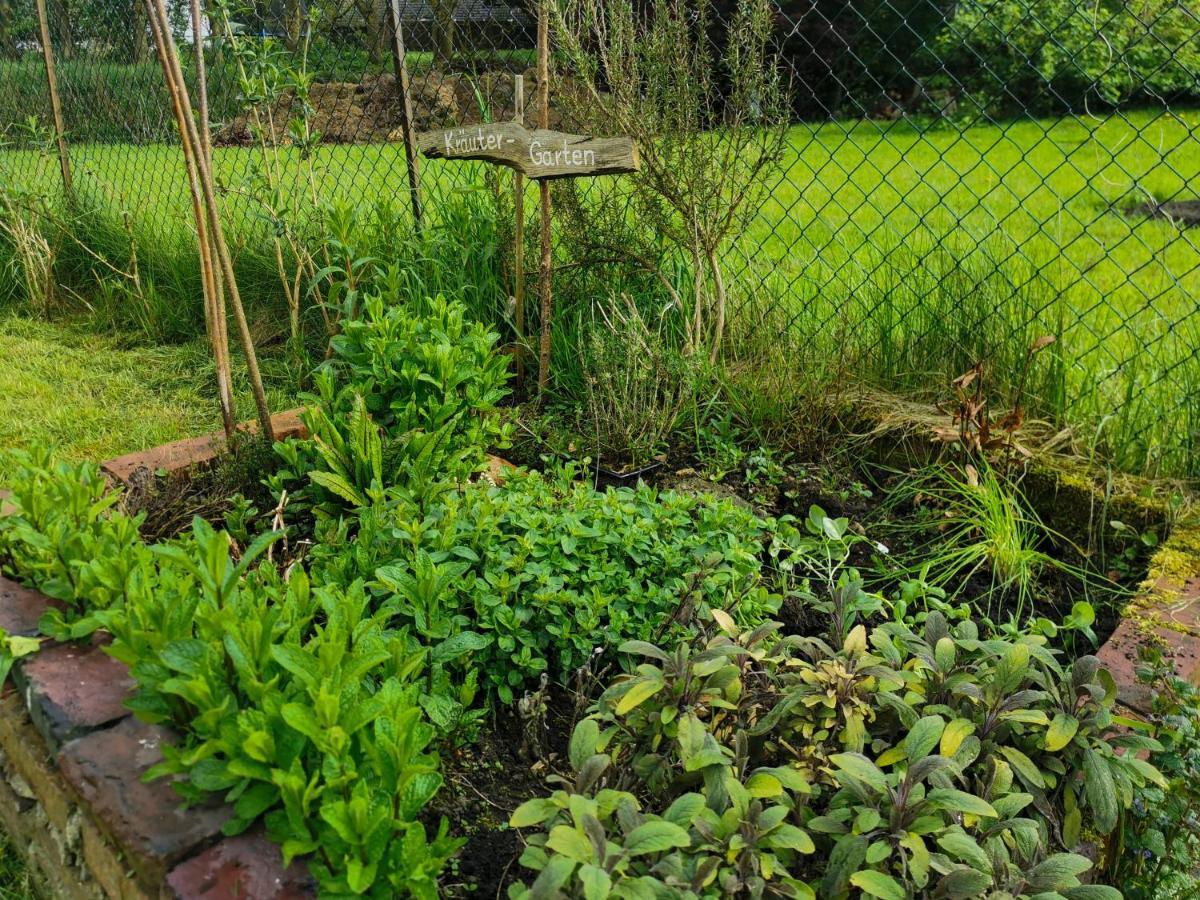 Ferienglueck An Der Nordsee Buche Deine Erdgeschoss-Ferienwohnung Mit Kamin Terrasse Und Eingezaeuntem Garten Fuer Unvergessliche Auszeiten Altfunnixsiel Εξωτερικό φωτογραφία